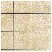 Reversible Battlemat with 1 inch  Squares and Hexes