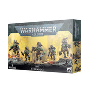 ORKS: Stormboyz