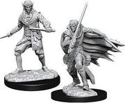 PF DC: W10 Male Elf Rogue