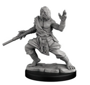 Player Character Set: Dragonborn Fighter & Monk (Retail) product image