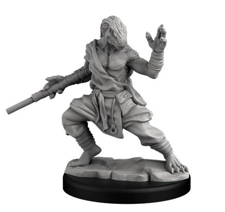 Player Character Set: Dragonborn Fighter & Monk (Retail) product image