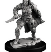Player Character Set: Human Rogue & Warrior (Retail) product image