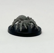 Giant Wolf Spiders (3) (Retail) product image